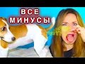 СОБАКА - ВСЯ ПРАВДА ! ПУКНУЛА МНЕ В НОС СОБАКА | Elli Di Pets