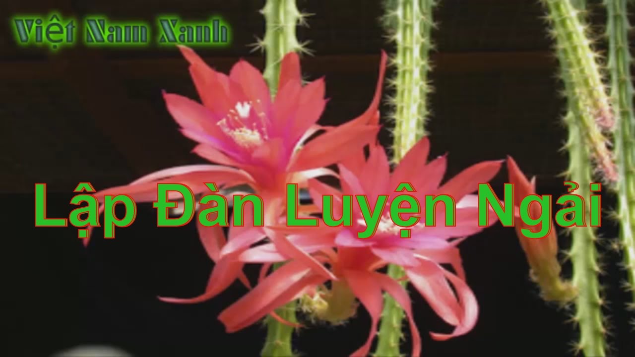 Lập Đàn Pháp Luyện Ngải - youtube