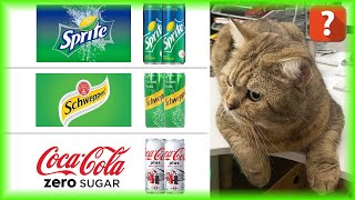 【CAT CAT】4K   EP17   Which soft drink do you like? screenshot 5