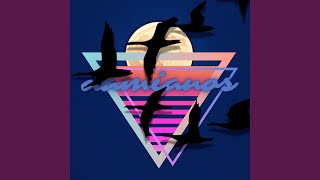 Midnight Birds