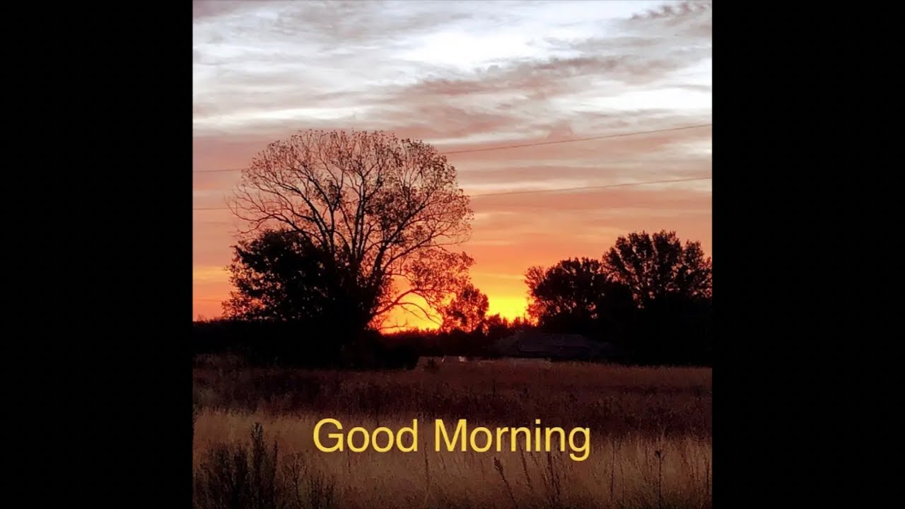 Morning walk n talk around the homestead