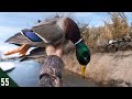 Hunting MALLARDS from A CLIFF Blind | River Hunting Ducks and Geese