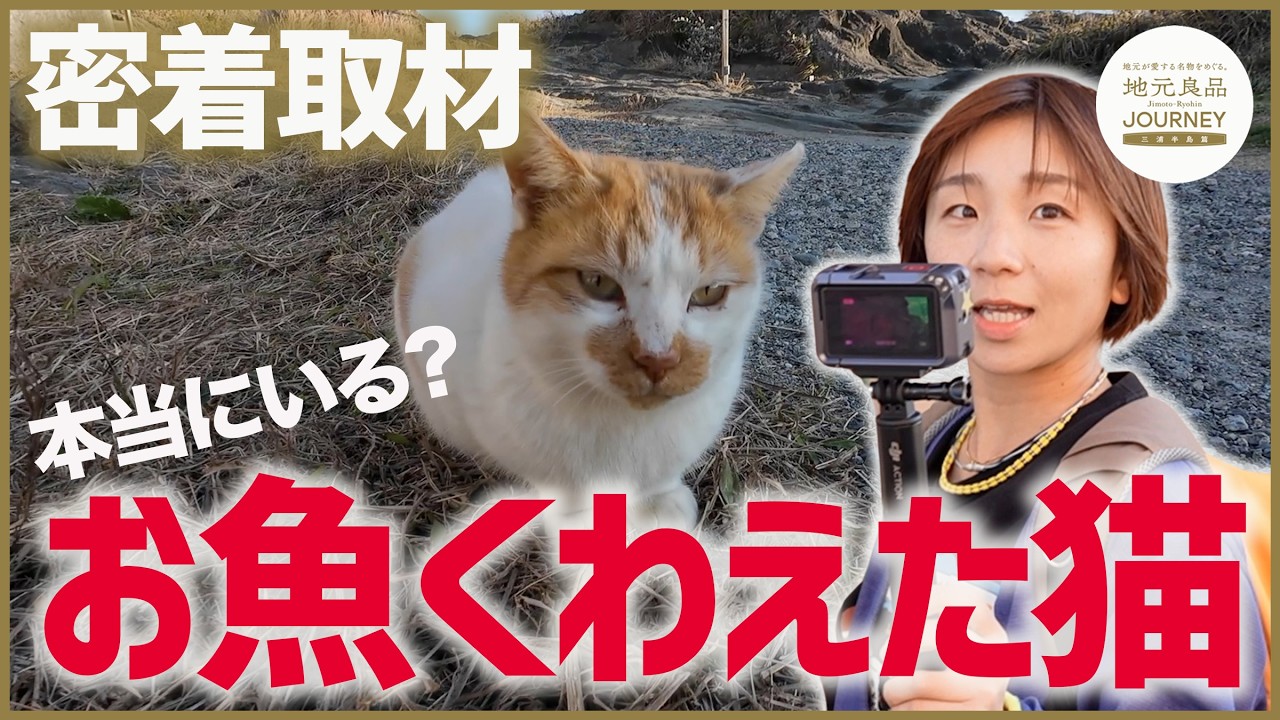 Cat Search Journey] The port town of Misaki is a cat paradise! Are
