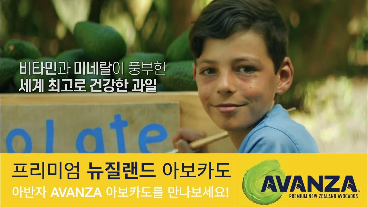 Avanza Korean Market Video YouTube avanza-korean-market-video-youtube