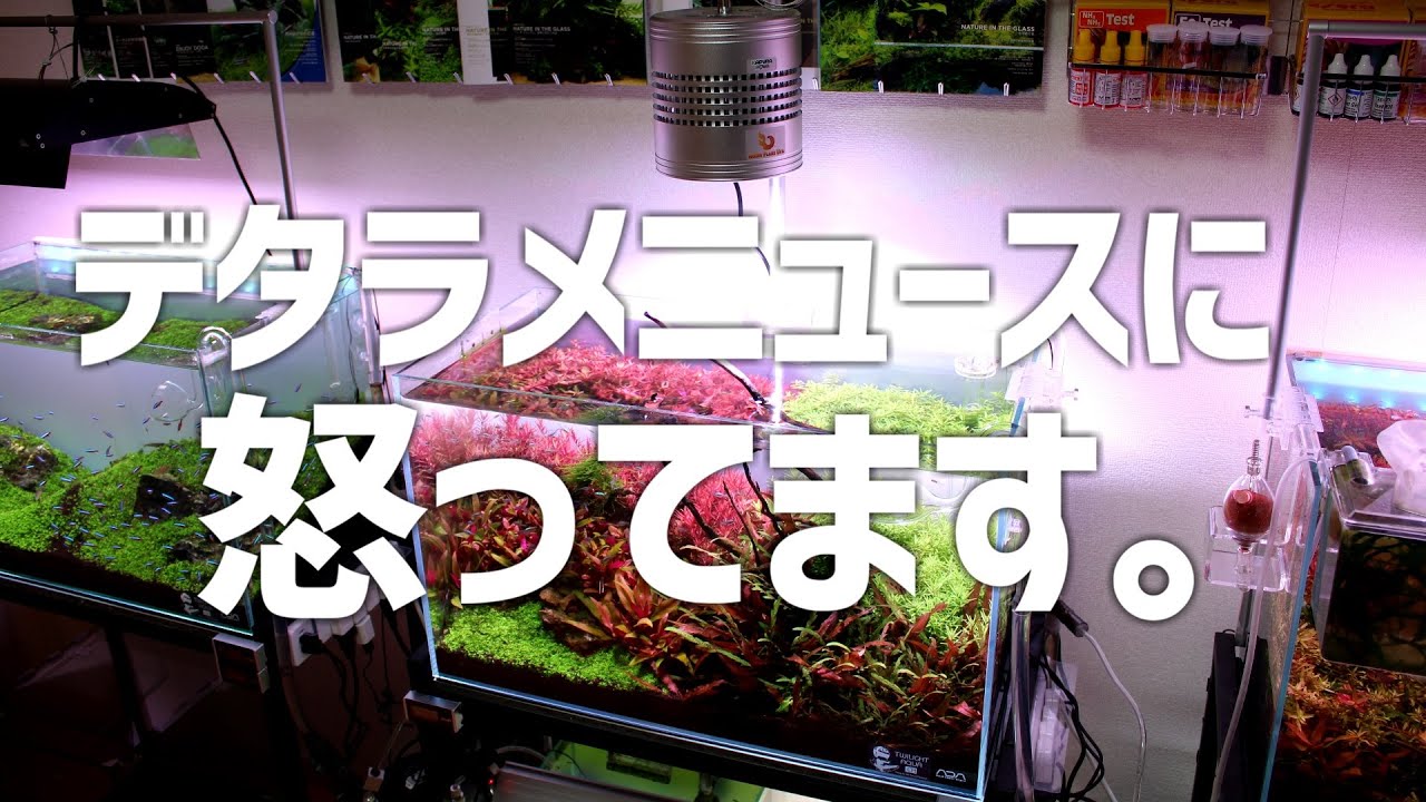 大人気！泡の出が違う！大型水槽に威力を発揮。偽物には注意！ Too much. Outrage at the super appropriate and adverse news. #467