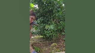 Today is planting day.