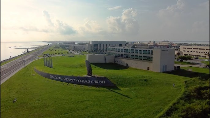 UT Marine Scientists to Relocate Temporarily to Texas A&M's Corpus