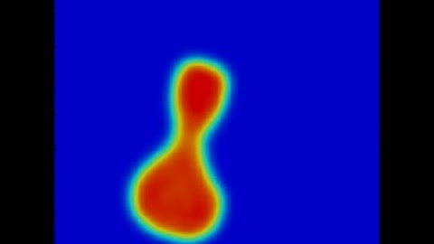 TDDFT simulation: 58Ni+208Pb