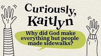 Why did God make everything but people made sidewalks?