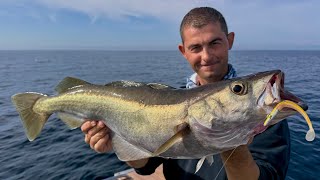 Download Lagu Diepzeewrakvissen - Scheepswrakken op zee in diep water verkennen | The Fish Locker MP3 Download Lagu Diepzeewrakvissen - Scheepswrakken op zee in diep water verkennen | The Fish Locker MP3