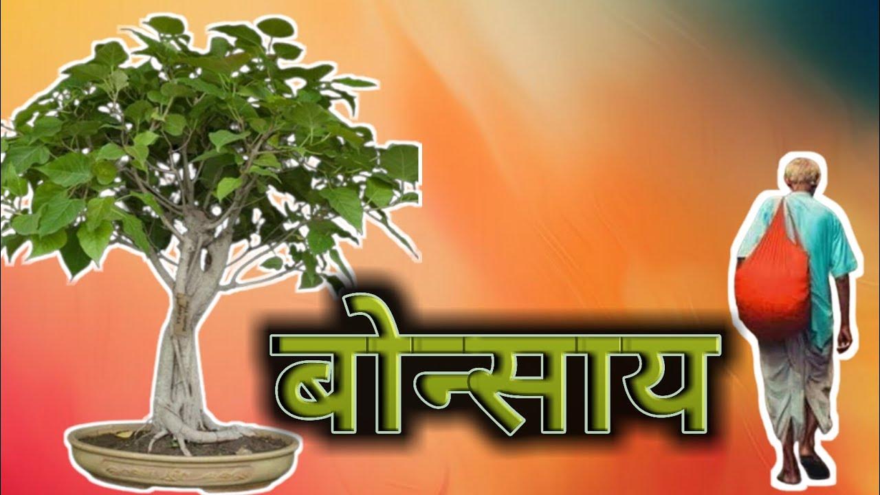 बोन्साय हृदयस्पर्शी कथा Bonsai heart touching marathi story मराठी
