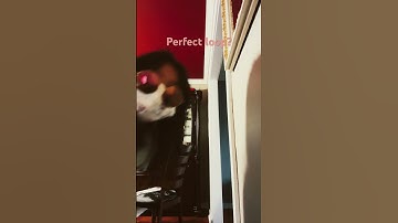 L #loop #satisfyingloop #funny #endlessloop #perfectloop #music