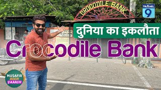 दुनिया का सबसे अनोखा bank | Crocodile Bank | Travel Vlog | Travel9 #travelvlog #bank