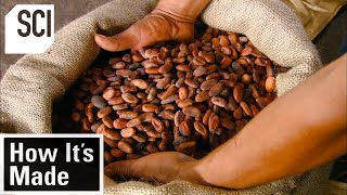 How Cocoa Beans Are Made | How It's Made | Science Channel