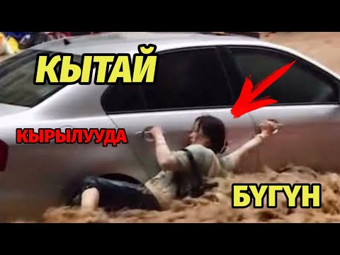 Video: Сатып алууну унута албай жатасызбы? Жуманын мыкты 10 жаңы өнүмү