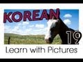 Learn Korean - Farm Animals Vocabulary