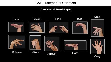 ASL Grammar: 3D Element