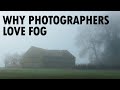 Why Photographers Love Fog