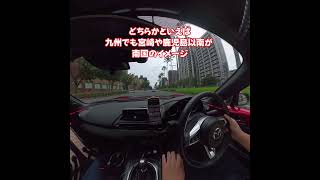 福岡は南国なのか？宮崎と比較してみたら意外な結果に…！