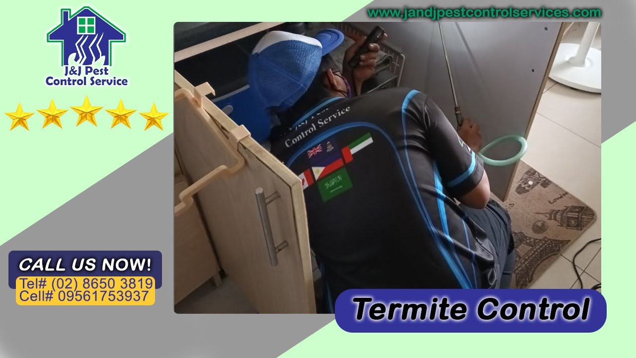 Termite Control Makati City MM Call Us (02) 8650 3819 ⭐️ YouTube