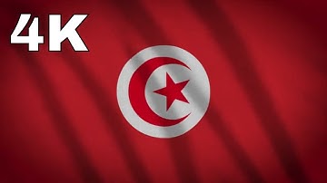 Tunisia Waving Flag 4K ( Download Link )