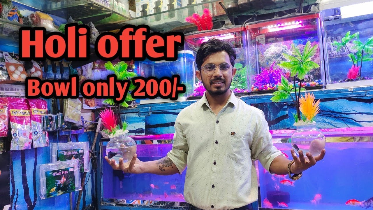 Fish Shop in Chandigarh Deepak Fish Aquarium in Chandigarh New