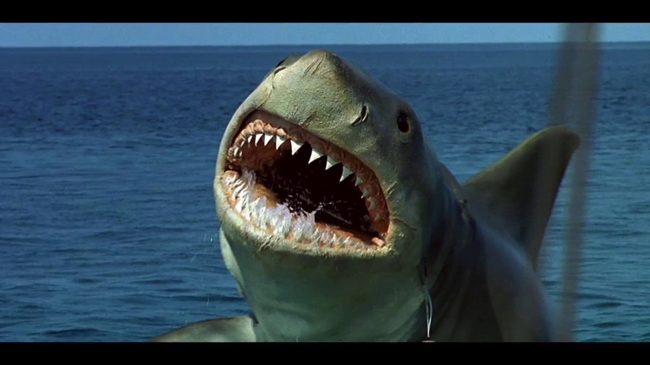 1987 Jaws: The Revenge