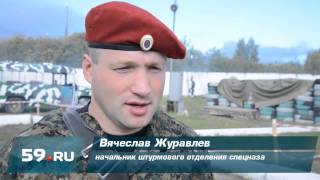 Краповые береты для «Медведей» Краповые береты для «Медведей»