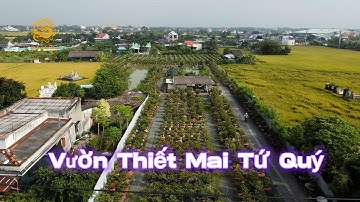 Lần đầu về Long An review vườn Thiết Mai Tứ Quý|Vùng Đất Rồng 