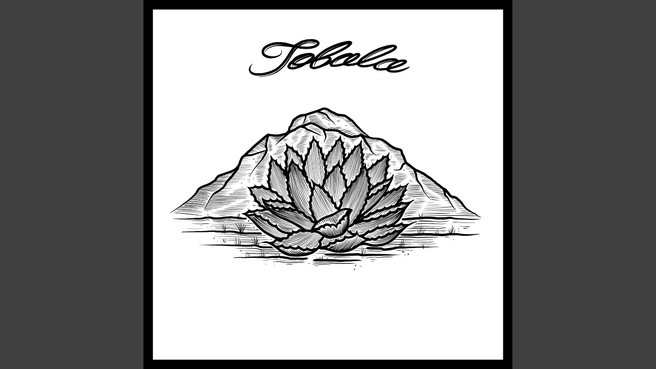 Guarda Tobala su YouTube Guarda Tobala su YouTube