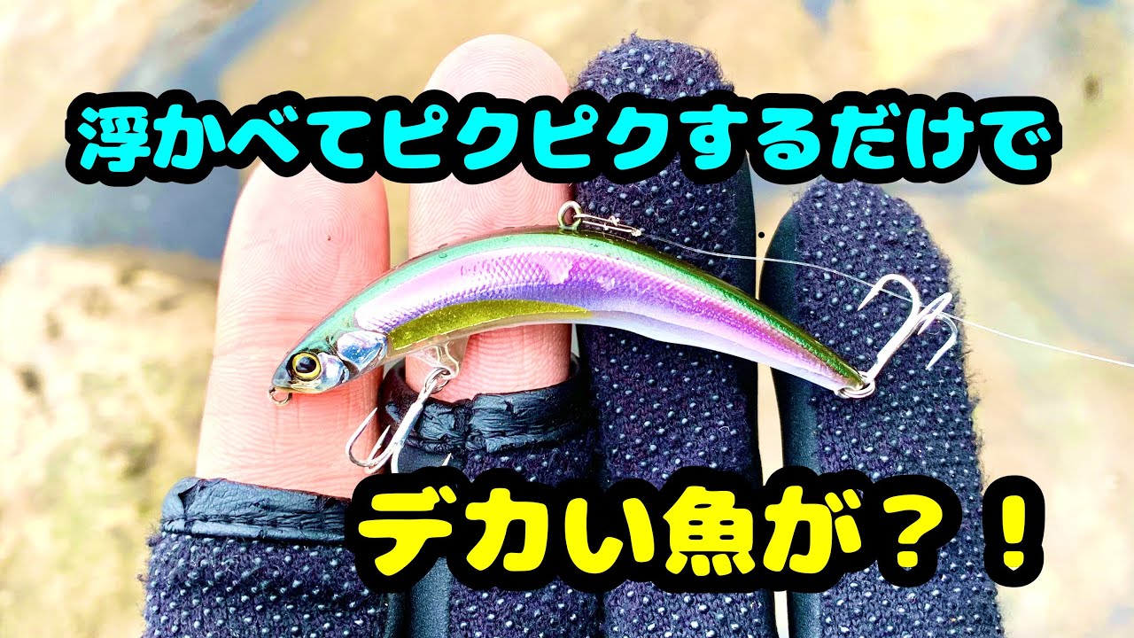 ジャッカルのピクピクを水面でピクピクさせてたら、、 #jackall