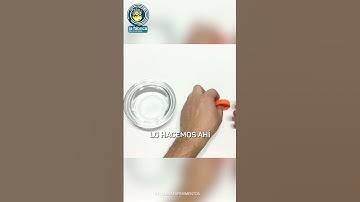 Como hacer una brújula casera (SUPER FÁCIL👍)