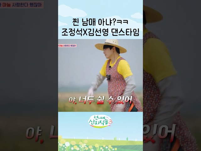 조정석X김선영 찐 남매 케미 ㅋㅋ #언니네산지직송3