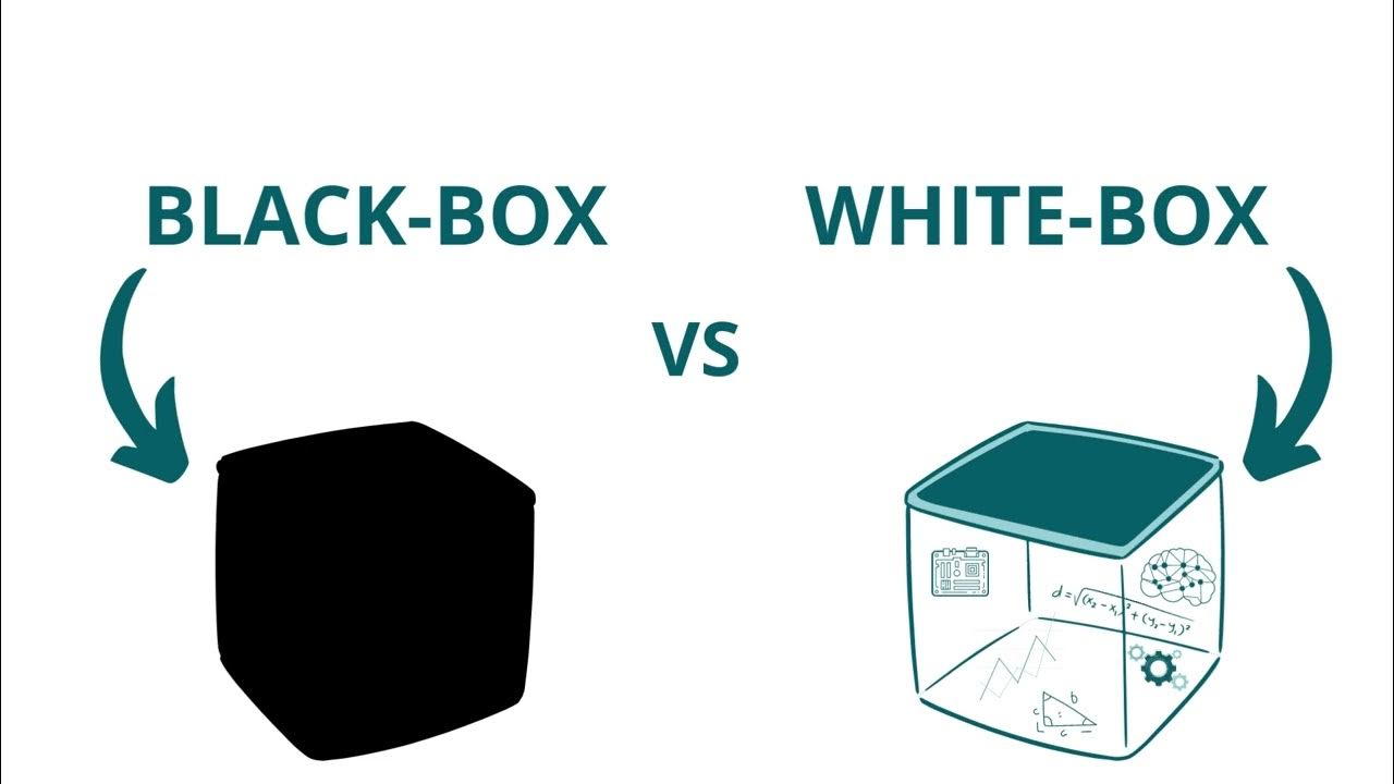 BlackBox vs WhiteBox YouTube