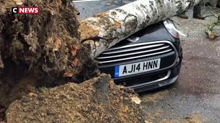 Tempête Ciara : les transports perturbés en Europe