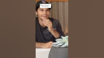 Yn x newt ‘meant to be’ S:4 part 72   || maze runner series|| #mazerunner #newt