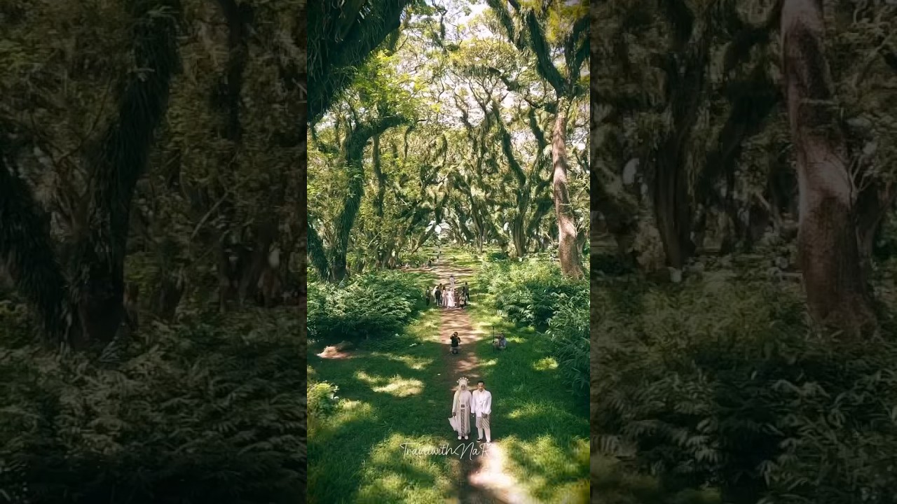 Ide transisi buat video kalian 