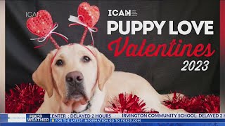 ICAN Puppy Love Valentines