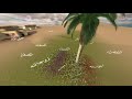كتاب كيف عاملهم ﷺ للشيخ محمد صالح المنجد حفظه الله كتاب كيف عاملهم ﷺ للشيخ محمد صالح المنجد حفظه الله