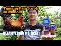 Tamang Pag Turok sa Manok! | Right way to Inject Chicken