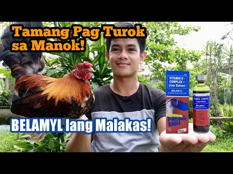 Tamang Pag Turok sa Manok! | Right way to Inject Chicken