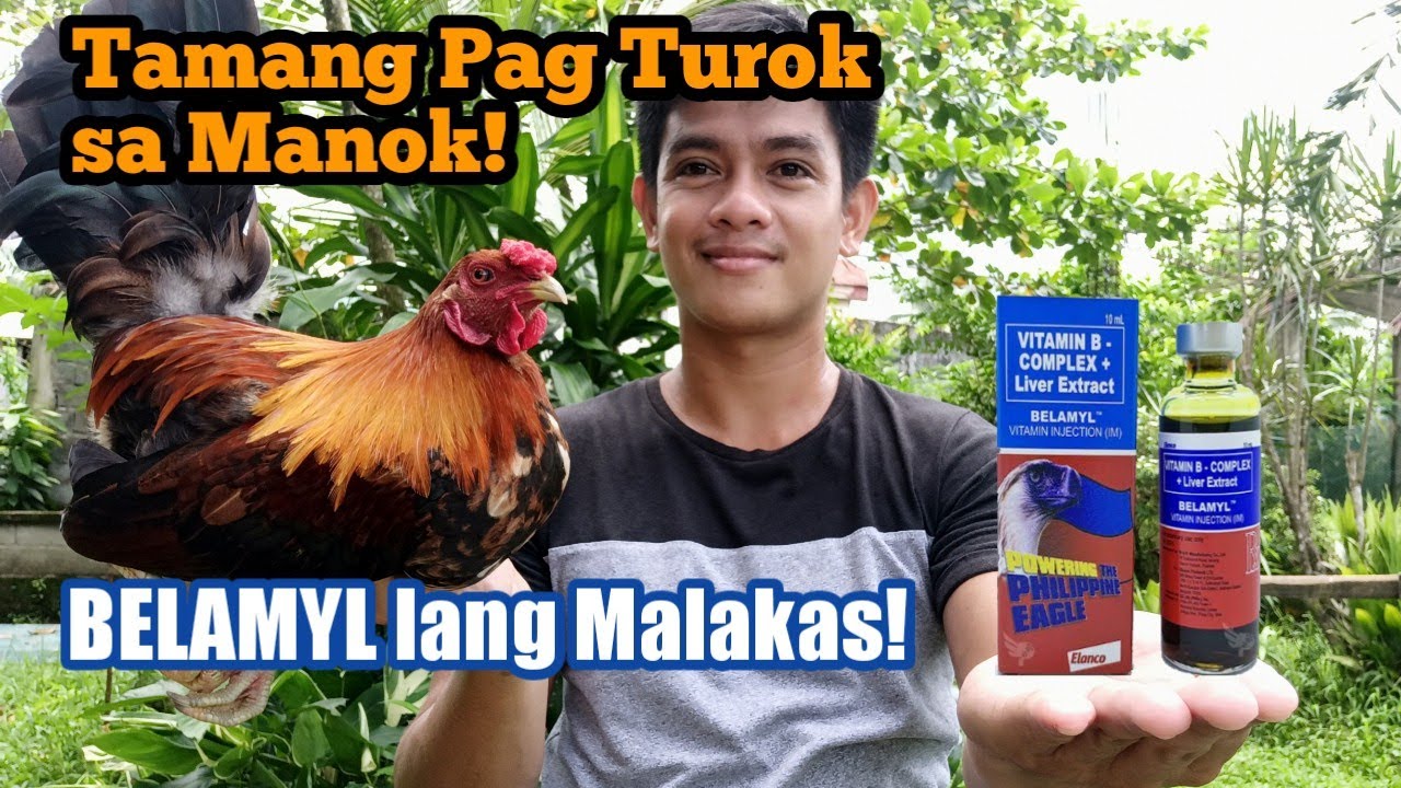 Tamang Pag Turok sa Manok! | Right way to Inject Chicken - YouTube