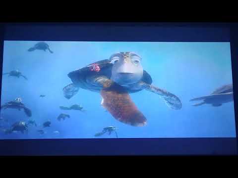 Finding Nemo Marlin Meets Crush