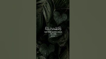 (لقد أنزلنا ءايت مبينت) القارئ محمد الغزالي #القران #اكسبلور #لايك