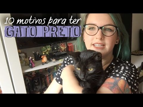 Vídeo: Gatos Pretos E Adoção De Halloween