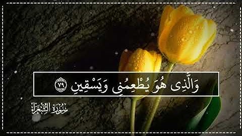 أرح سمعك قبل النوم💛أجمل حالات واتس اب قرآن كريم/مقاطع دينية قصيرة/ستوريات انستا قرآن #quran