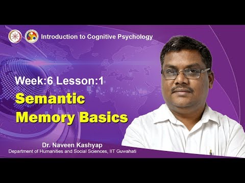 Semantic Memory Basics