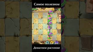 Самое полезное платное растение из PvZ 2