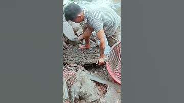 29 Tết Tát Đìa Bắt Cá