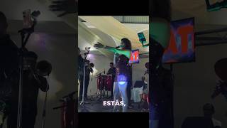 gracias por suscribirse a el canal
